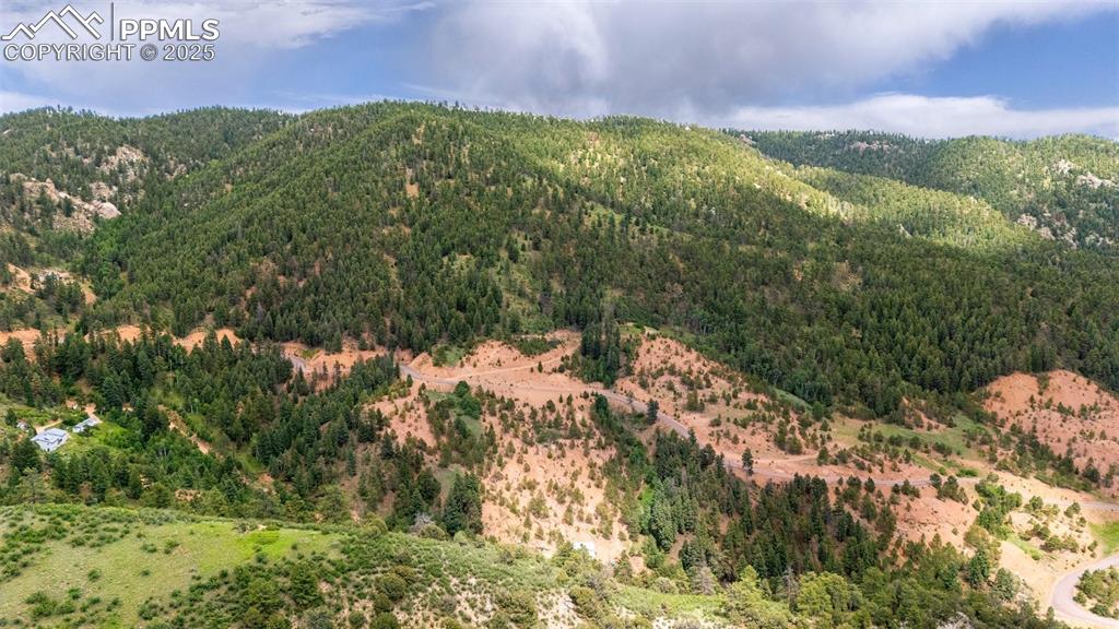 8743 High Mark Point Woodland Park CO 80863