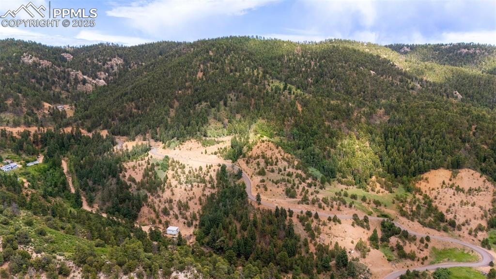 8743 High Mark Point Woodland Park CO 80863