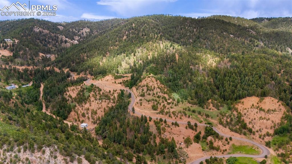 8743 High Mark Point Woodland Park CO 80863