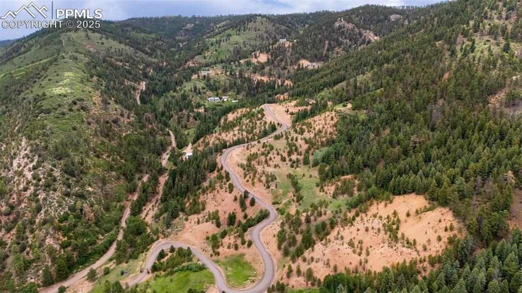 8743 High Mark Point Woodland Park CO 80863