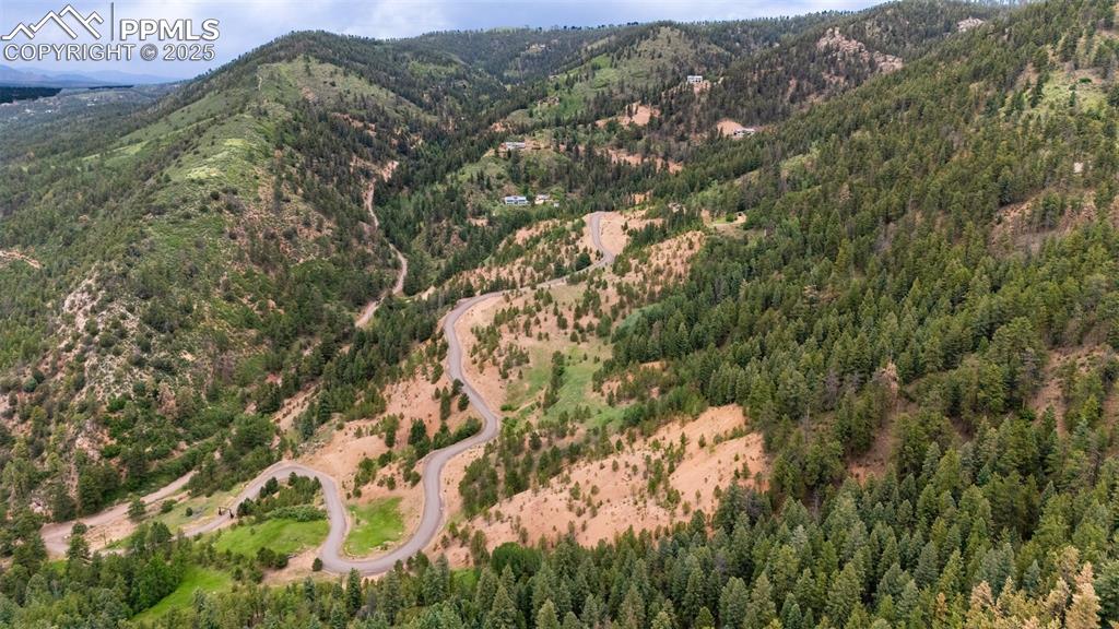 8743 High Mark Point Woodland Park CO 80863