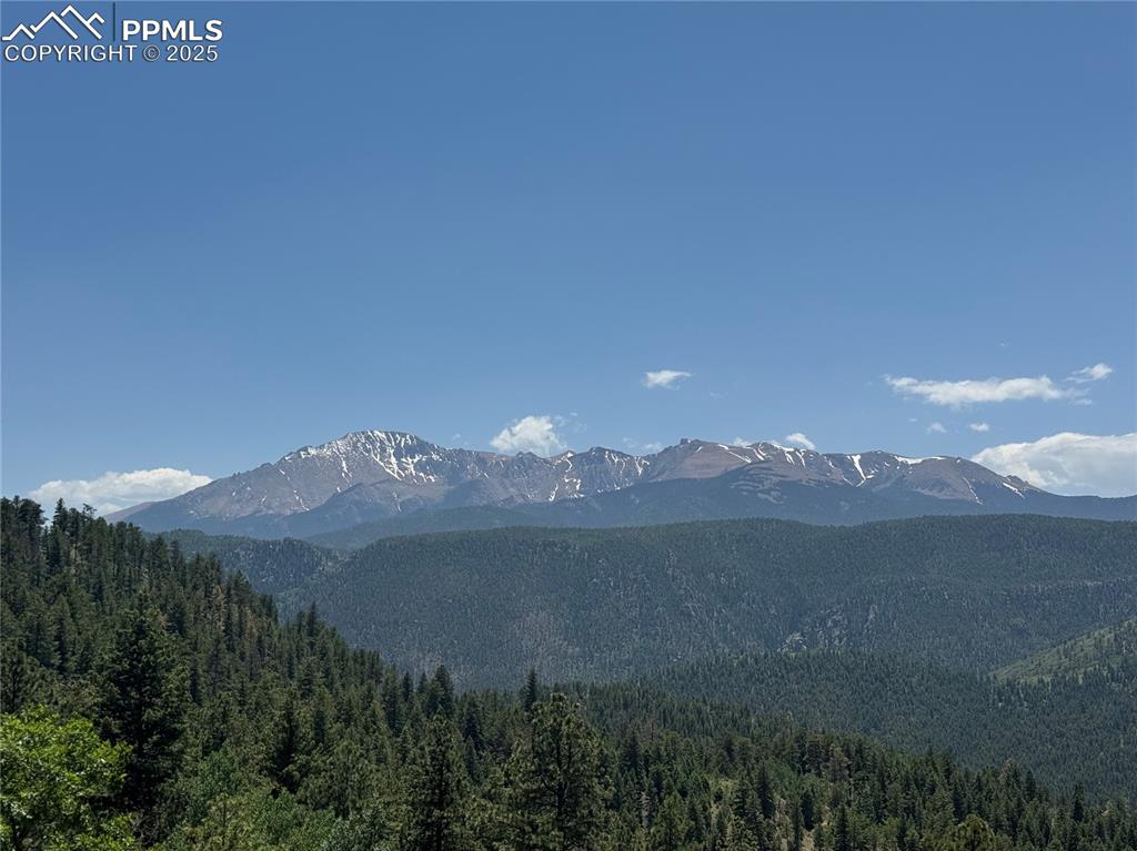 8743 High Mark Point Woodland Park CO 80863