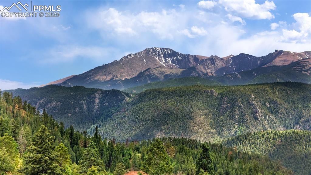 8743 High Mark Point Woodland Park CO 80863