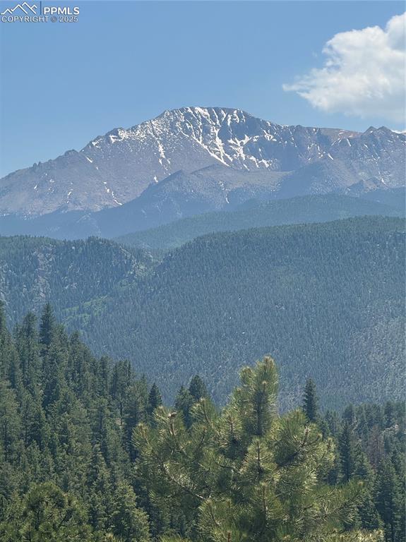 8743 High Mark Point Woodland Park CO 80863