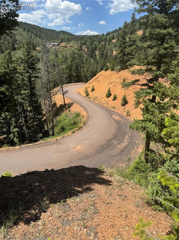 8743 High Mark Point Woodland Park CO 80863