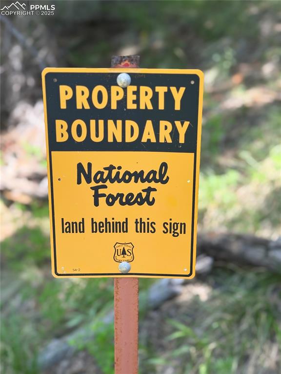 8743 High Mark Point Woodland Park CO 80863