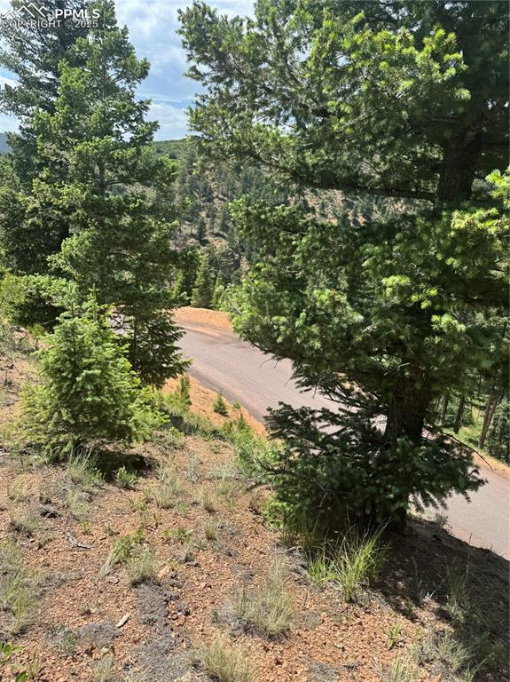 8743 High Mark Point Woodland Park CO 80863
