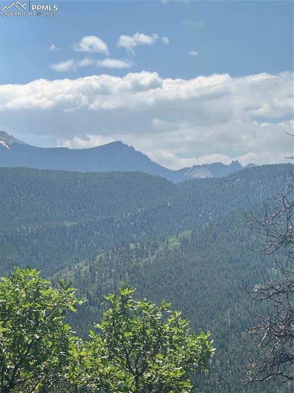8743 High Mark Point Woodland Park CO 80863