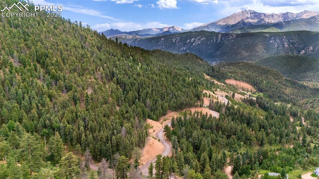 8743 High Mark Point Woodland Park CO 80863