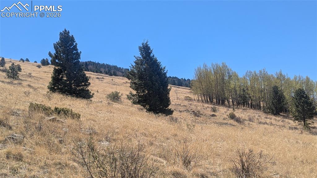 1960 Troy Drive Cripple Creek CO 80813