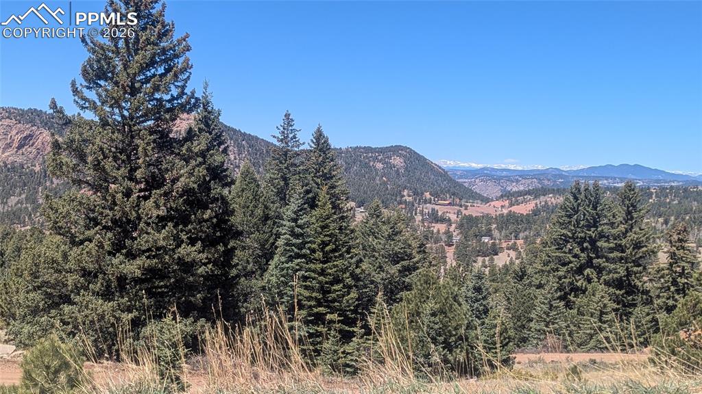 1960 Troy Drive Cripple Creek CO 80813