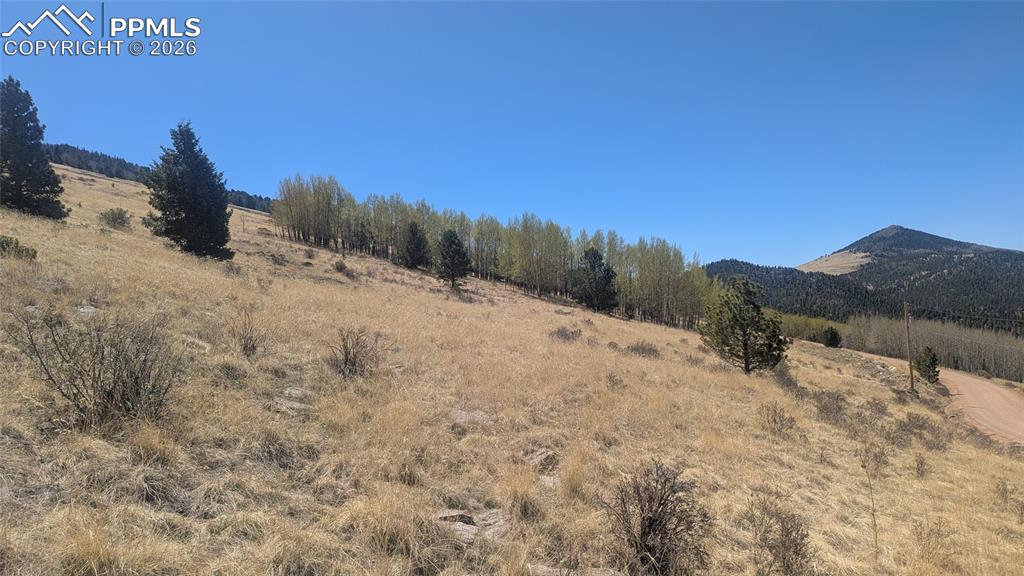 1960 Troy Drive Cripple Creek CO 80813