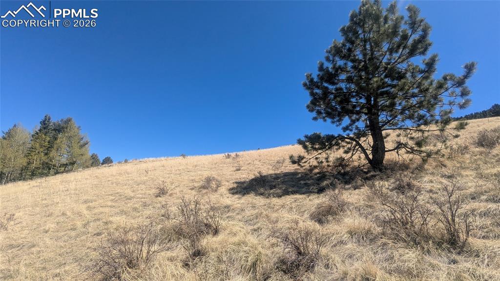 1960 Troy Drive Cripple Creek CO 80813