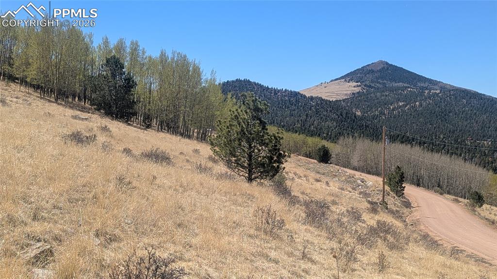 1960 Troy Drive Cripple Creek CO 80813
