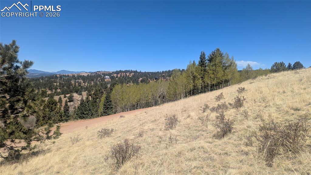 1960 Troy Drive Cripple Creek CO 80813
