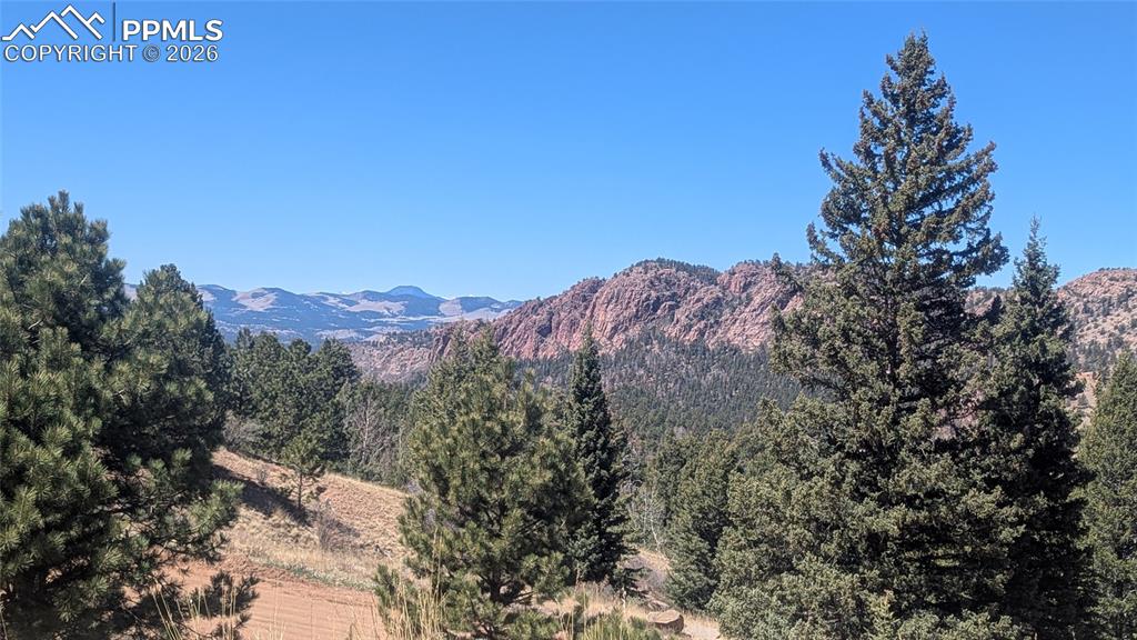 1960 Troy Drive Cripple Creek CO 80813