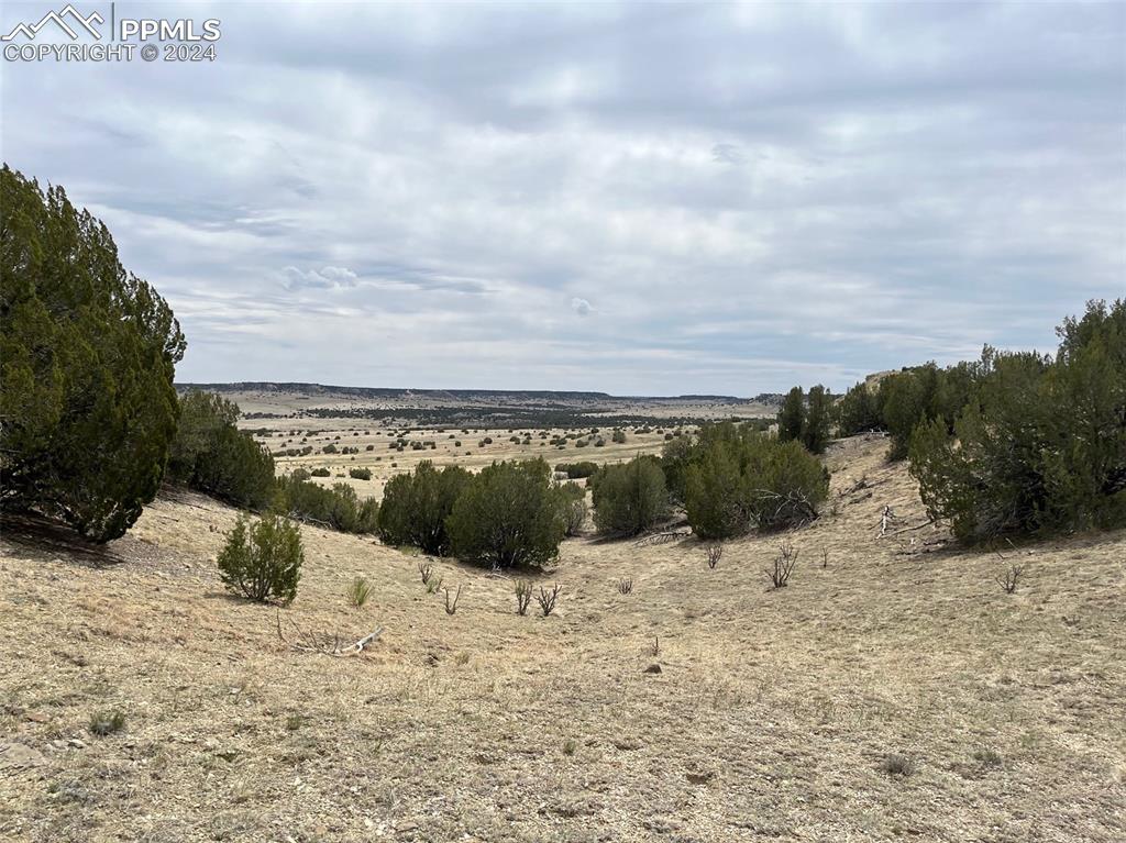 Black Horse Drive Pueblo CO 81004