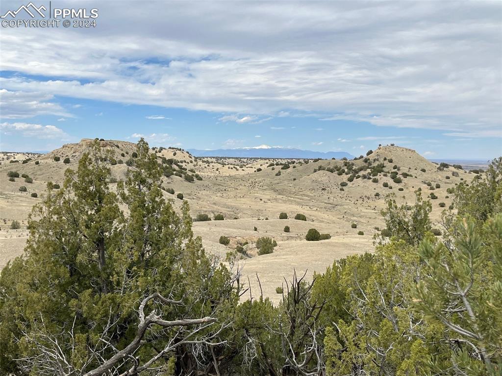 Black Horse Drive Pueblo CO 81004
