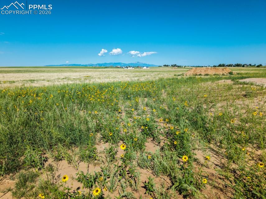 20744 Silverado Hill View Colorado Springs CO 80928