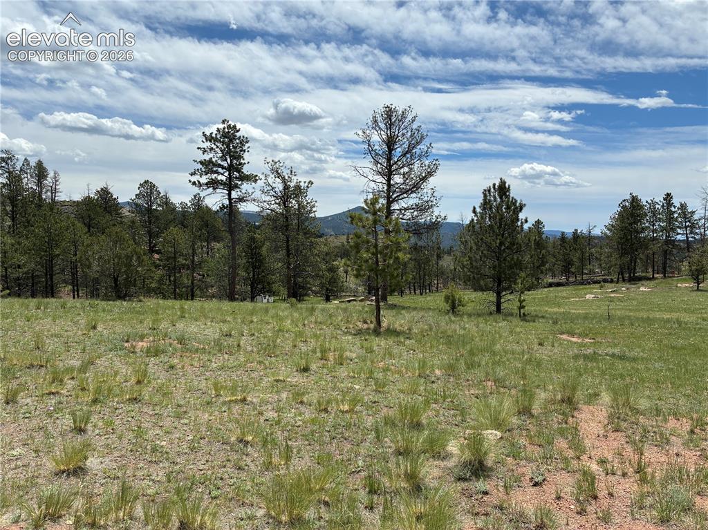 266 Chapparal Trail Florissant CO 80816
