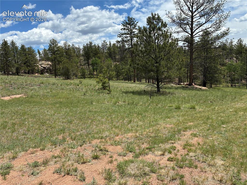 266 Chapparal Trail Florissant CO 80816