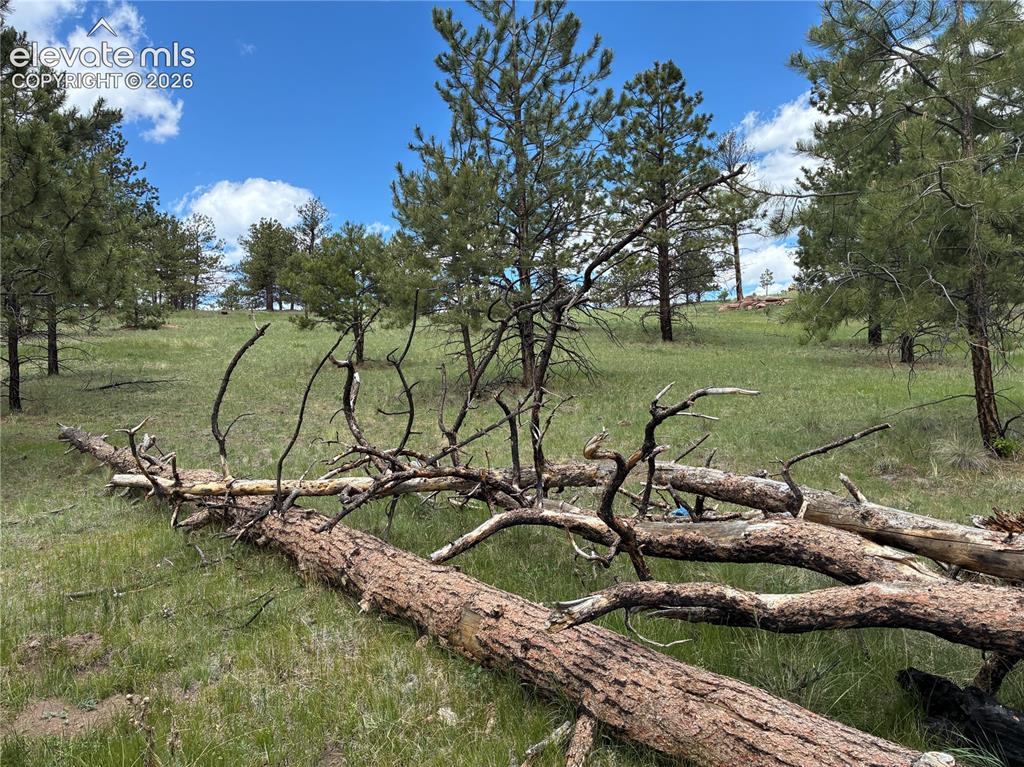 266 Chapparal Trail Florissant CO 80816