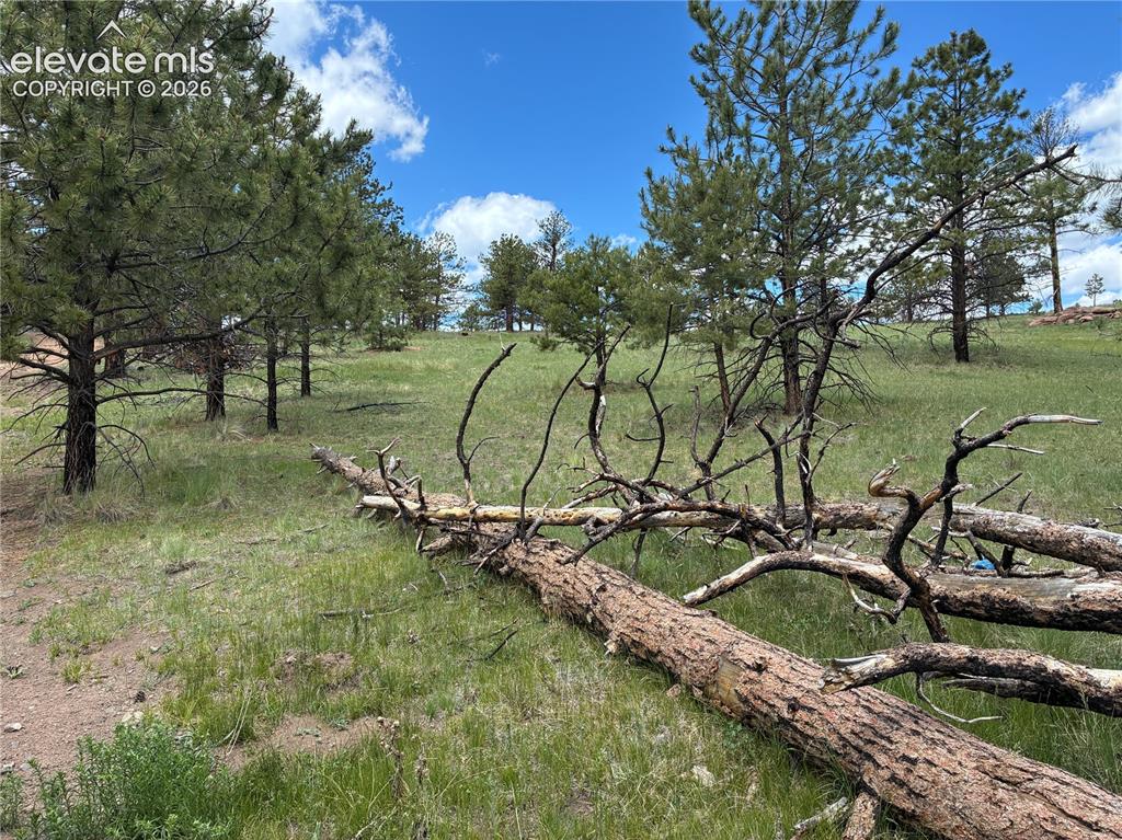266 Chapparal Trail Florissant CO 80816