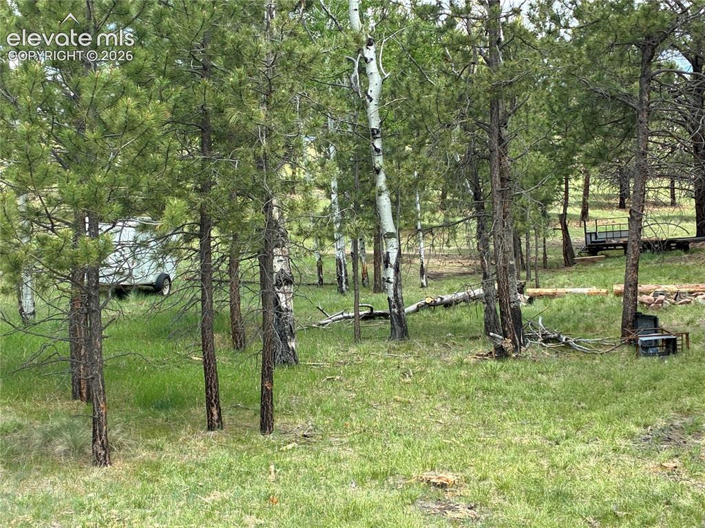 266 Chapparal Trail Florissant CO 80816