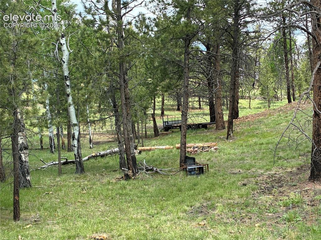 266 Chapparal Trail Florissant CO 80816