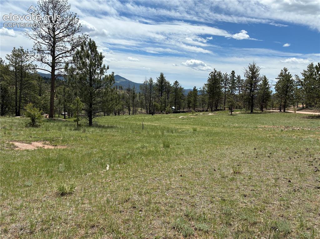 266 Chapparal Trail Florissant CO 80816