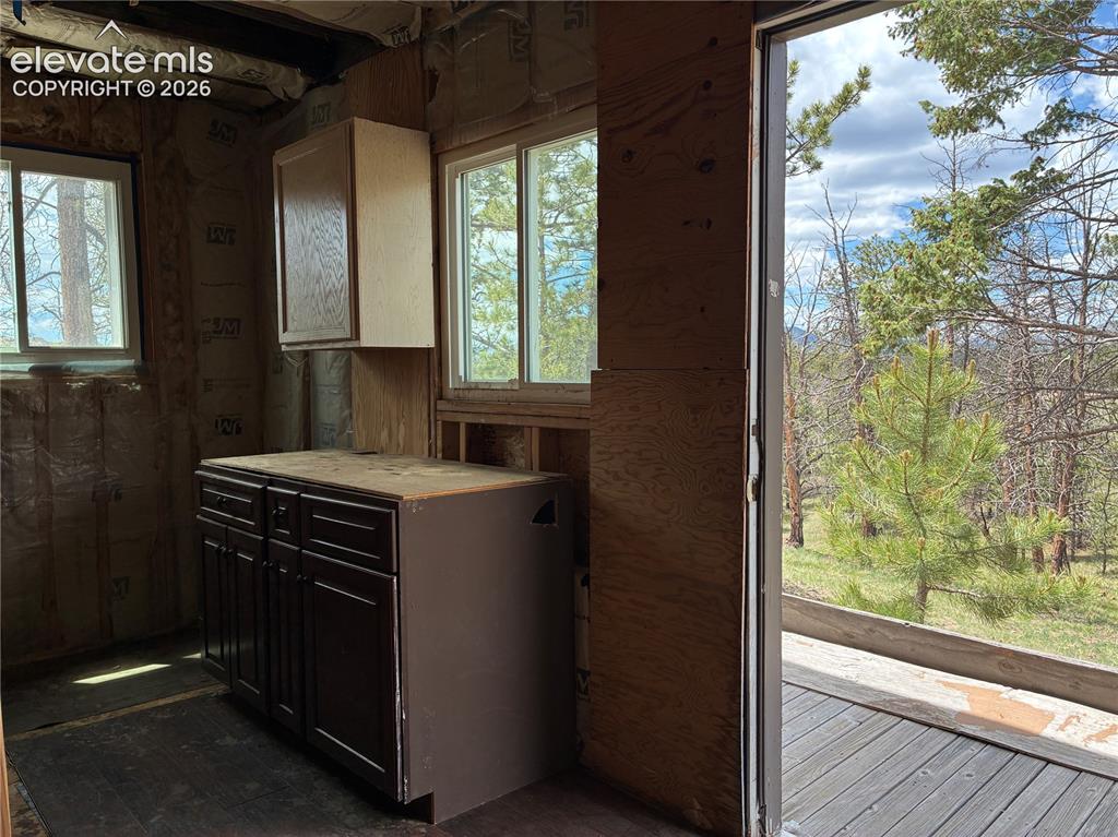 266 Chapparal Trail Florissant CO 80816