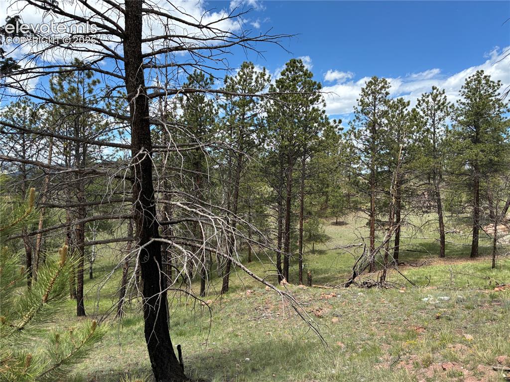 266 Chapparal Trail Florissant CO 80816