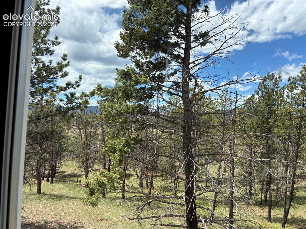 266 Chapparal Trail Florissant CO 80816