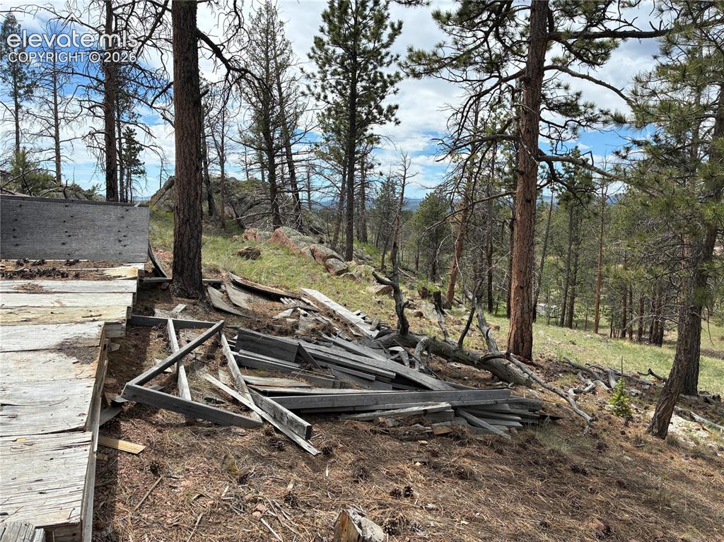 266 Chapparal Trail Florissant CO 80816