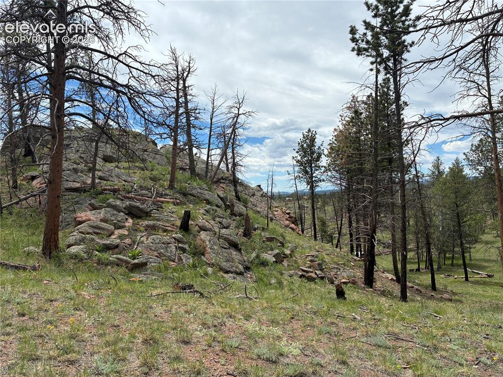266 Chapparal Trail Florissant CO 80816