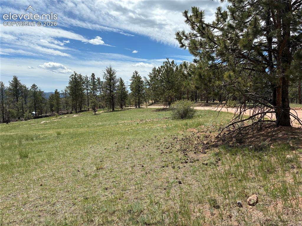 266 Chapparal Trail Florissant CO 80816
