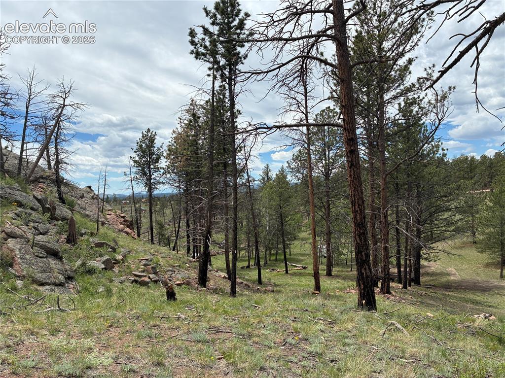 266 Chapparal Trail Florissant CO 80816