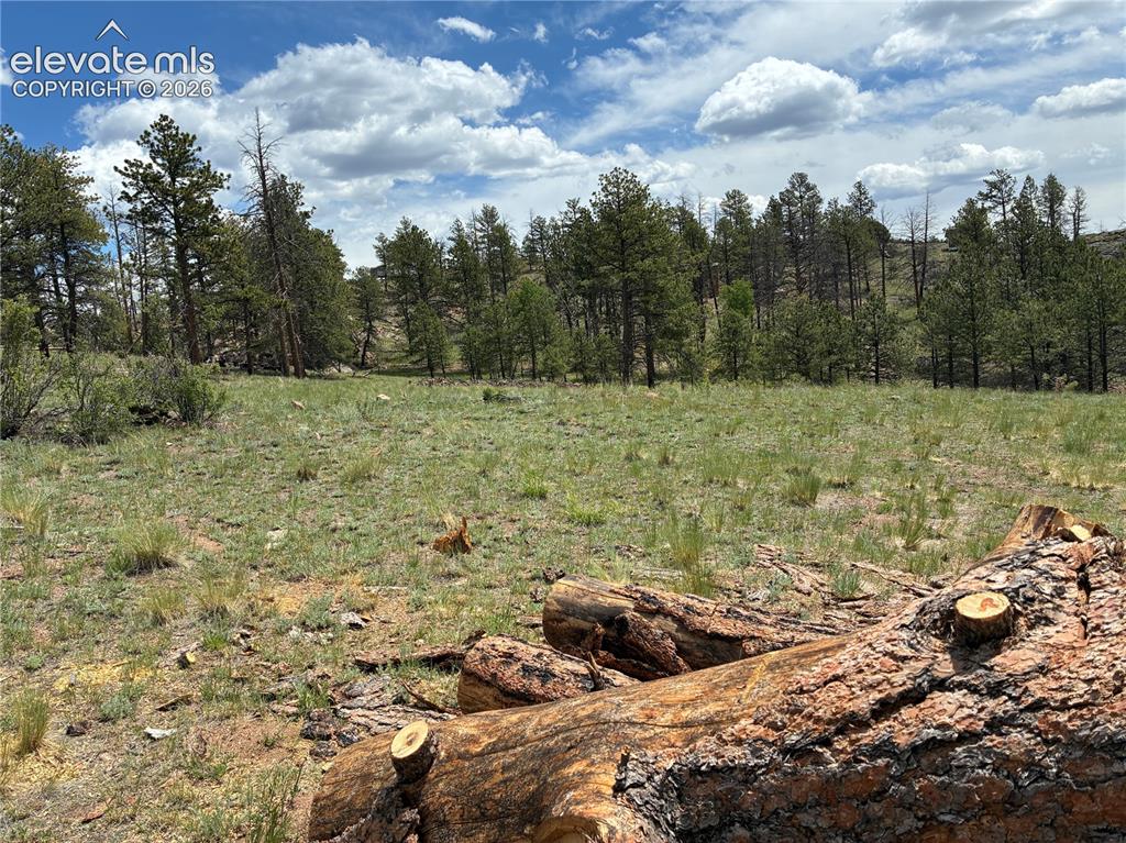 266 Chapparal Trail Florissant CO 80816