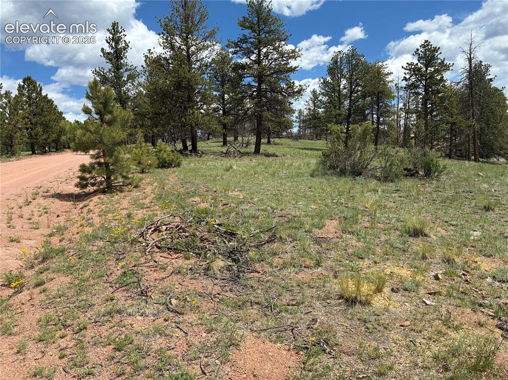 266 Chapparal Trail Florissant CO 80816