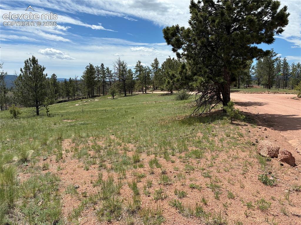 266 Chapparal Trail Florissant CO 80816