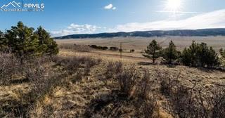 3503 Redhill Road Florissant CO 80440