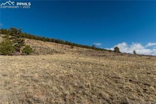 3503 Redhill Road Florissant CO 80440