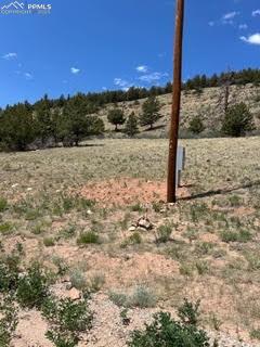 3503 Redhill Road Florissant CO 80440