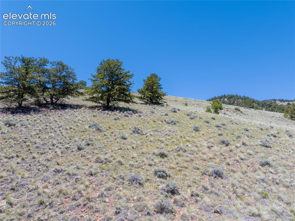 County Road 102 Guffey CO 80820