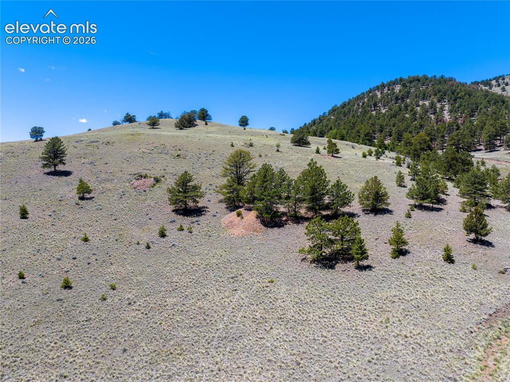 County Road 102 Guffey CO 80820