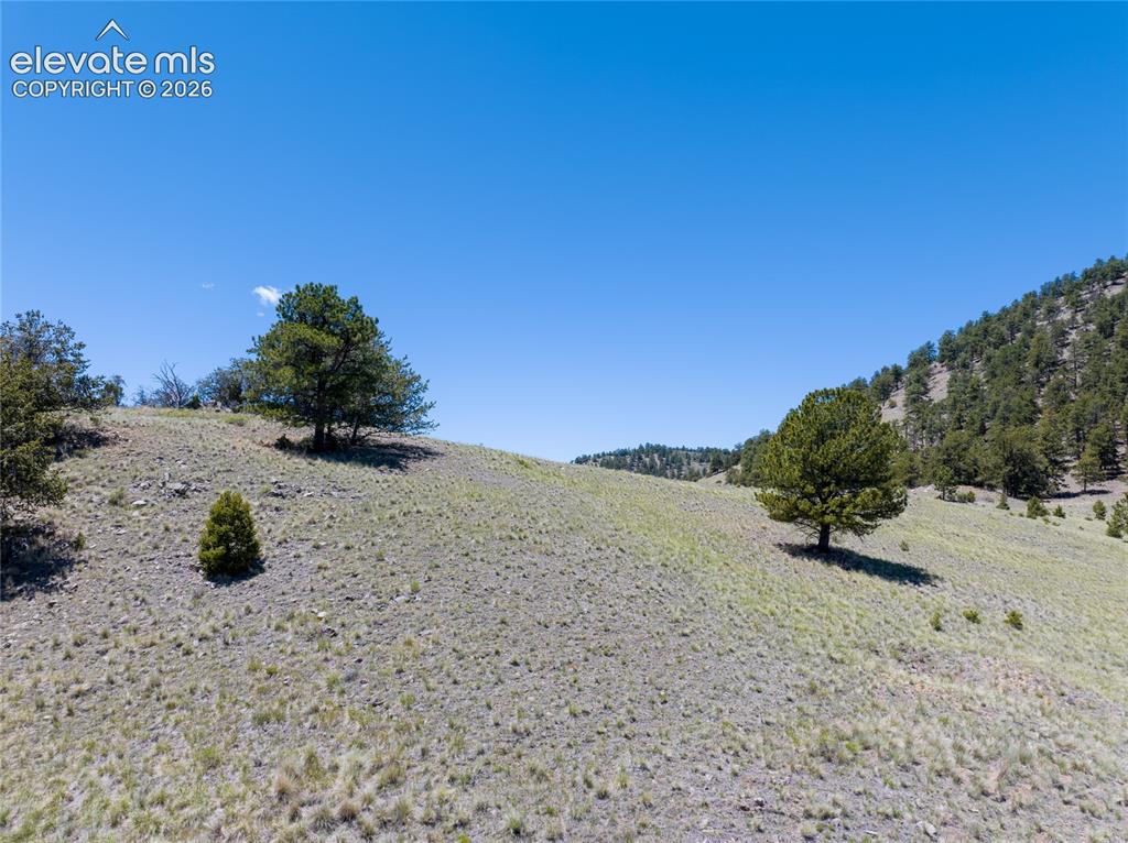County Road 102 Guffey CO 80820