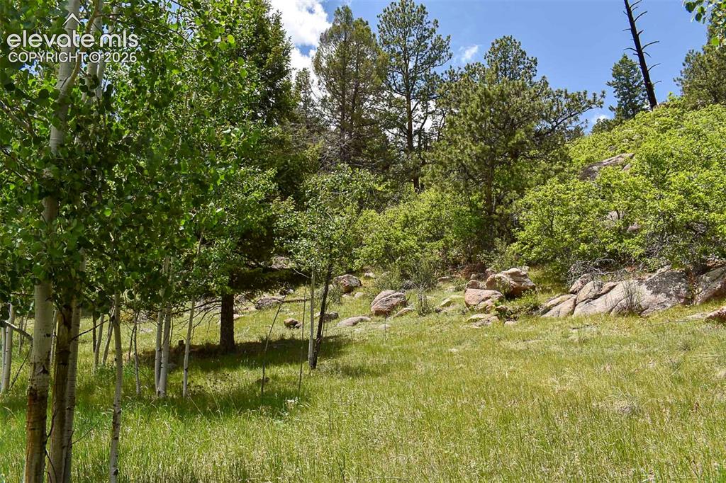 281 Deer Lane Guffey CO 80820