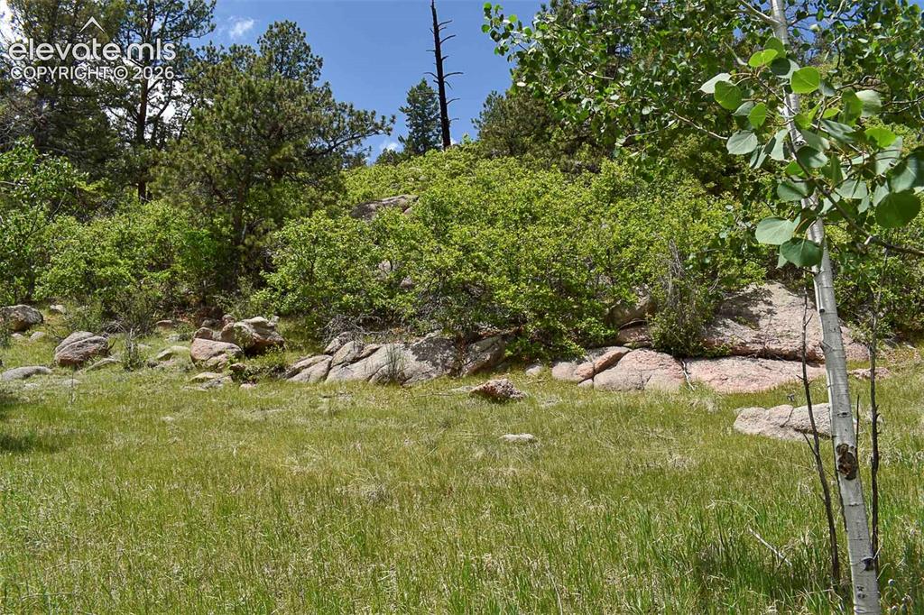 281 Deer Lane Guffey CO 80820