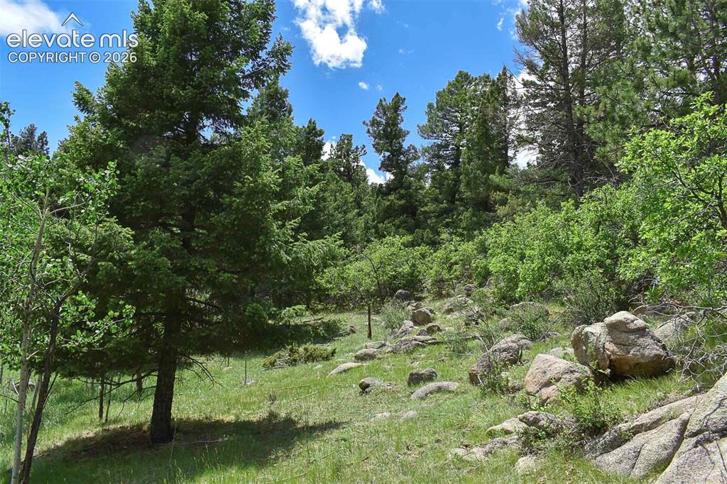 281 Deer Lane Guffey CO 80820
