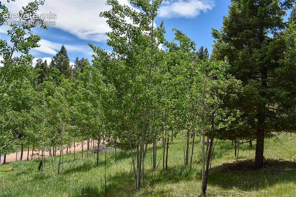 281 Deer Lane Guffey CO 80820